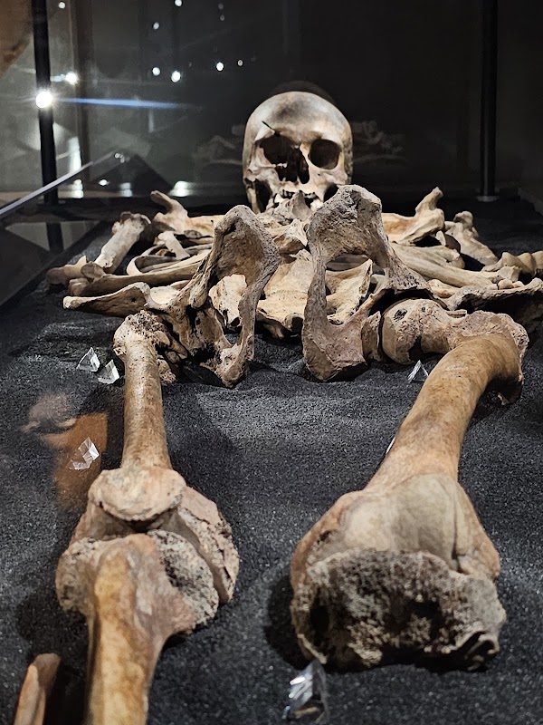 Jorvik Viking Festival photo 5