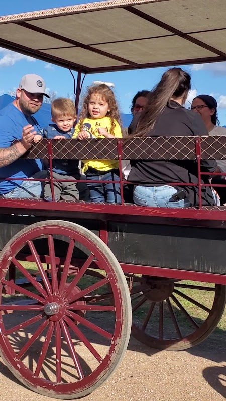 Kerrville Renaissance Festival photo 3