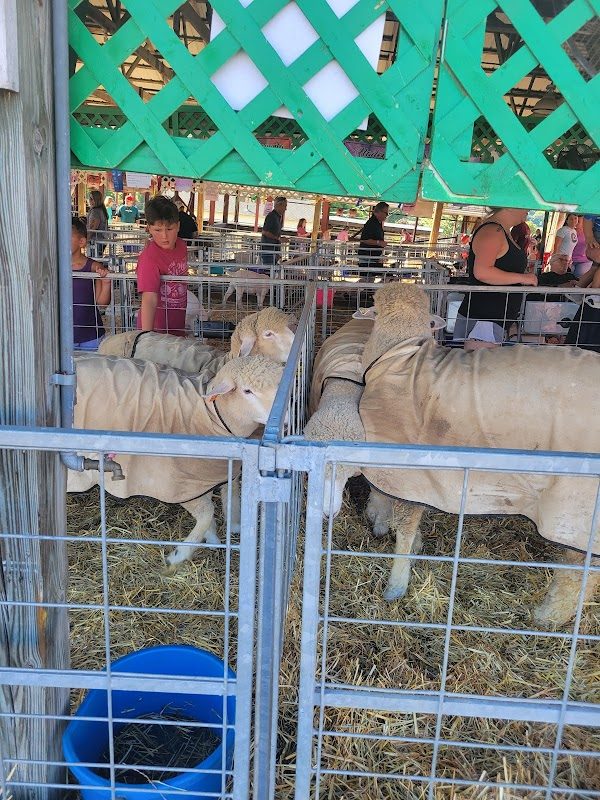 Kutztown Renaissance Faire photo 5