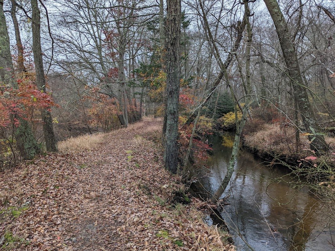 Lakewood Lions Charity Renaissance Faire photo 1