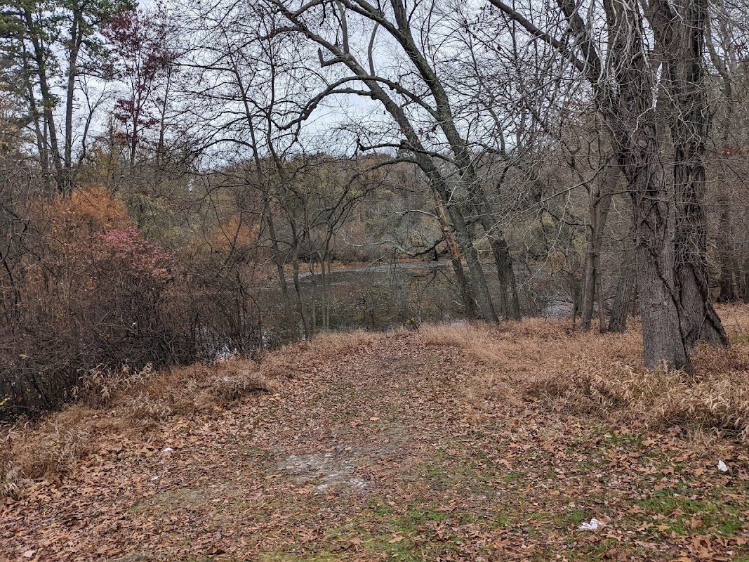 Lakewood Lions Charity Renaissance Faire photo 3