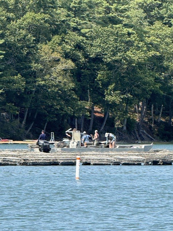 Maine Pirate Rendezvous photo 2