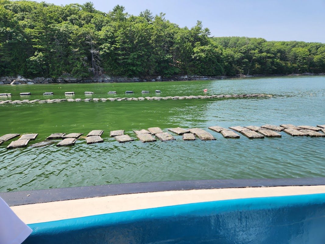 Maine Pirate Rendezvous photo 4