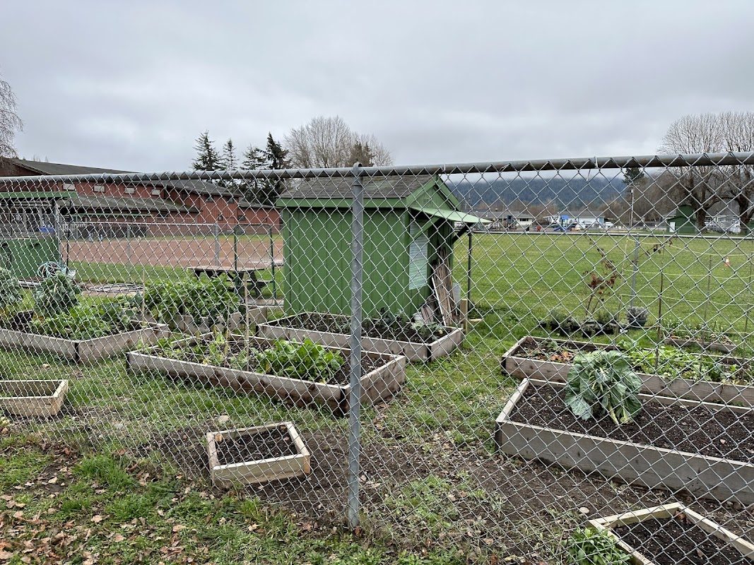 Medieval Festival of Courage photo 4