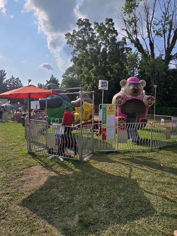 Michigan Nordic Fire Festival photo 1