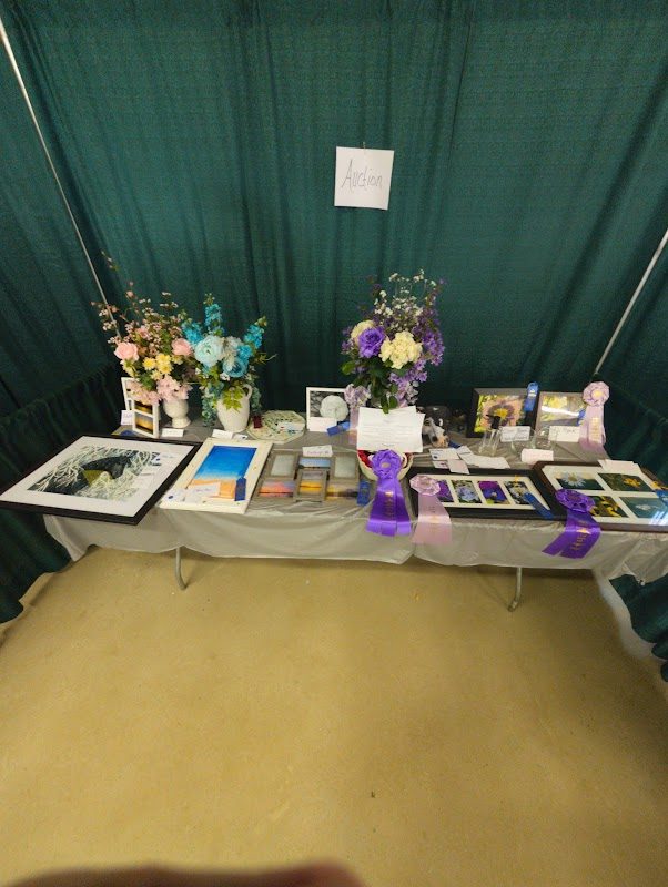 Michigan Nordic Fire Festival photo 3