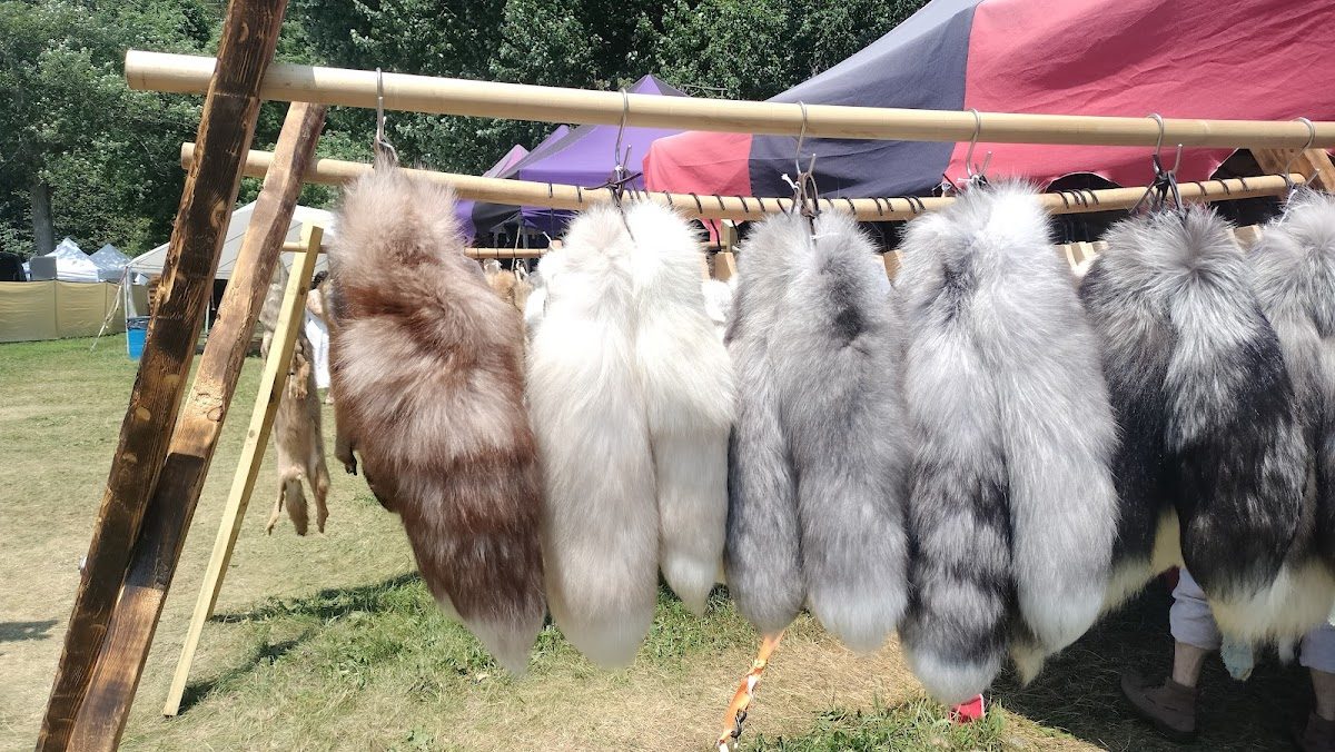 Midsummer Fantasy Renaissance Faire photo 3