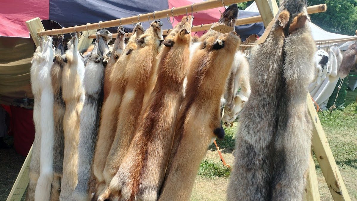 Midsummer Fantasy Renaissance Faire photo 4