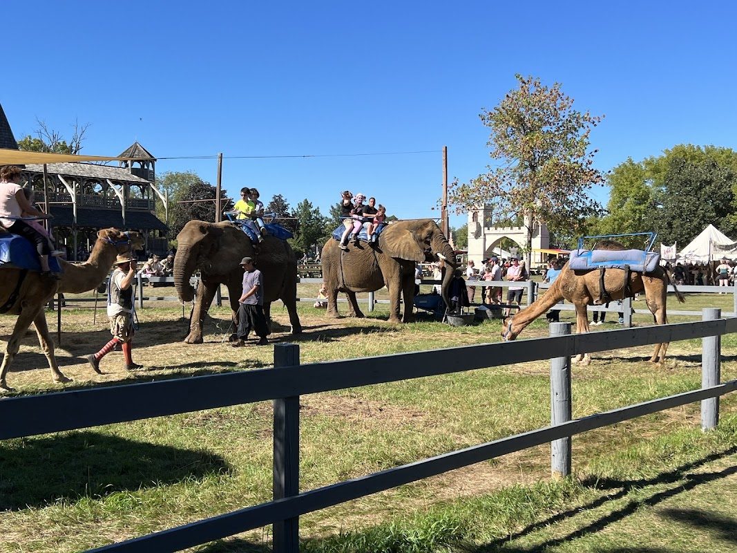 Minnesota Renaissance Festival photo 2