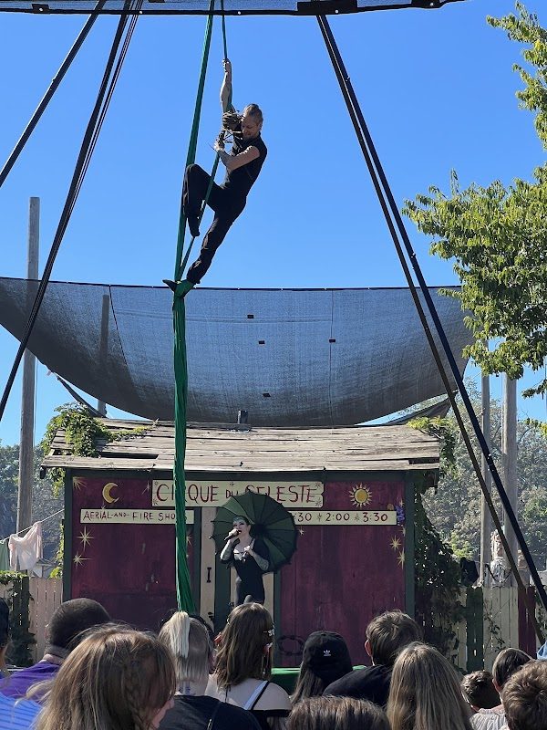 Minnesota Renaissance Festival photo 3