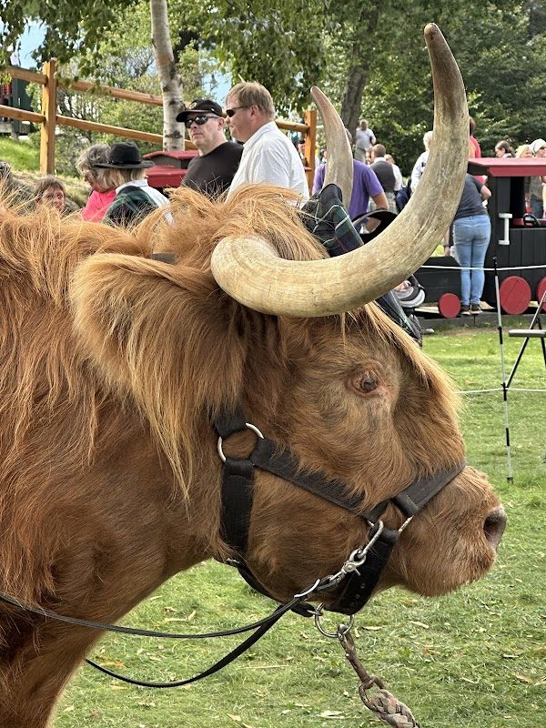 New Hampshire Highland Games photo 5
