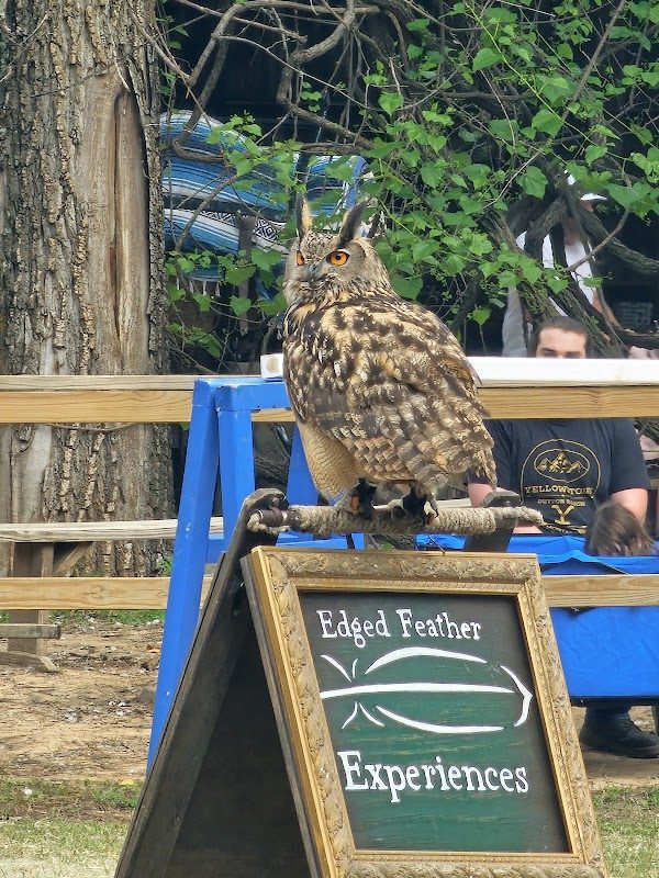 Oklahoma Renaissance Festival photo 5