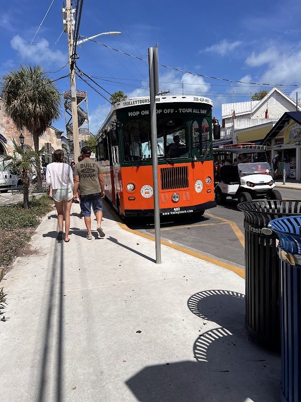 Pirates in Paradise photo 5