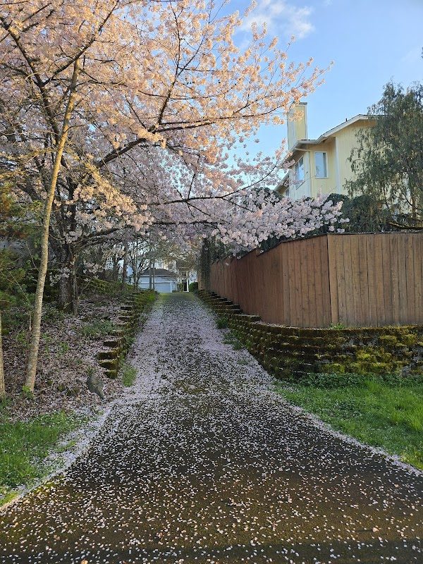 Portland Pirate Festival photo 2