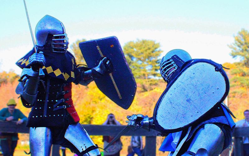 Silver Kingdom Renaissance Faire photo 3