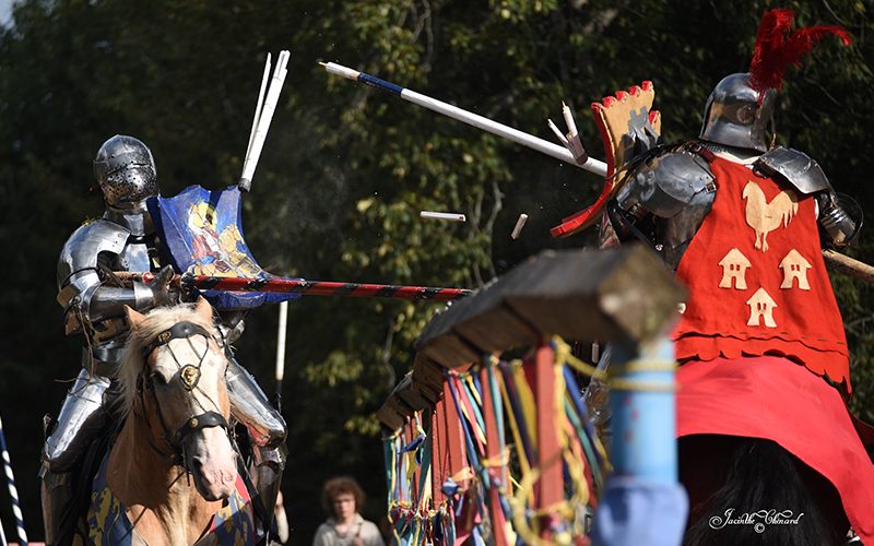 Silver Kingdom Renaissance Faire photo 4