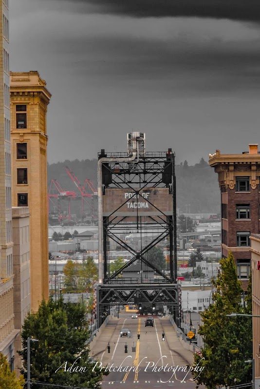 Spring Fairy Festival photo 4