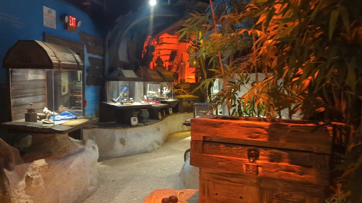 St. Augustine Pirate Gathering photo 4