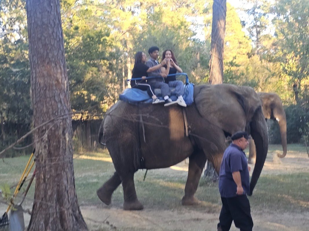 Texas Renaissance Festival photo 1