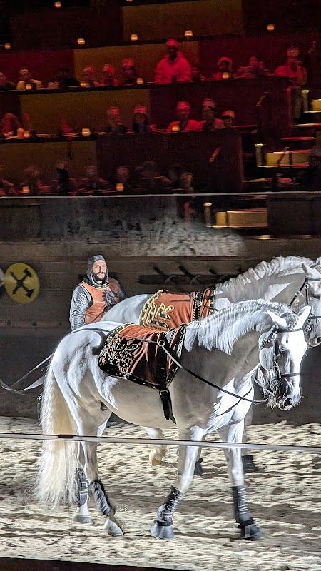 That Medieval Thing (TMT) photo 4