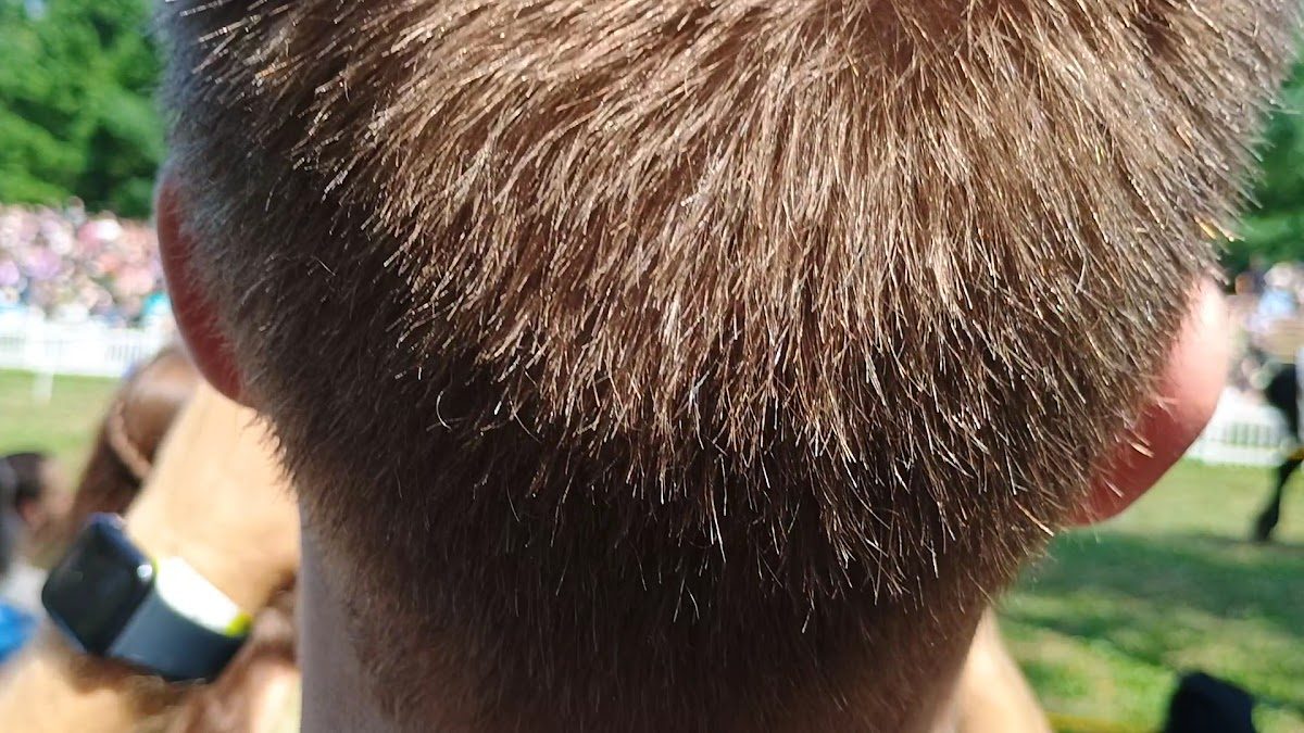 The Great Lakes Medieval Faire and Marketplace photo 2