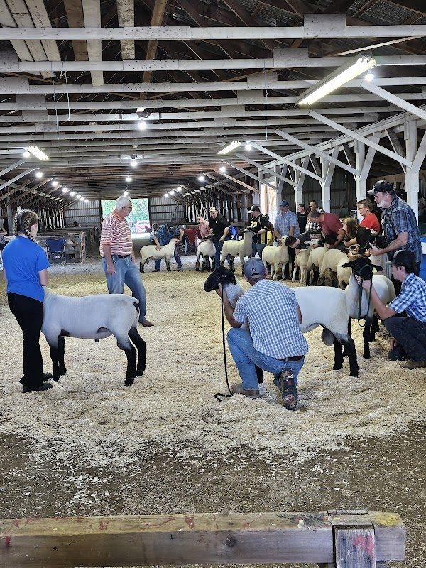 The Pirate Festival photo 4