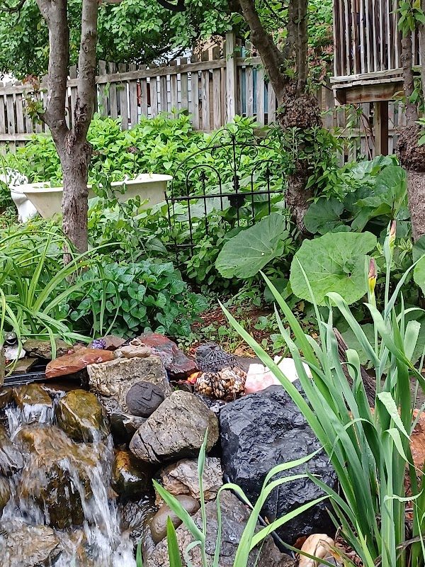 The Rosemary House Fairy Festival photo 3