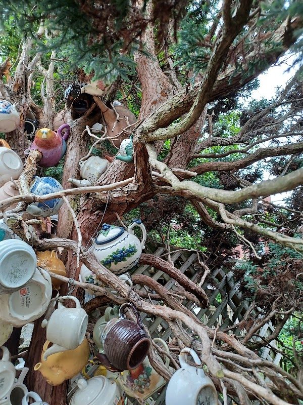 The Rosemary House Fairy Festival photo 5