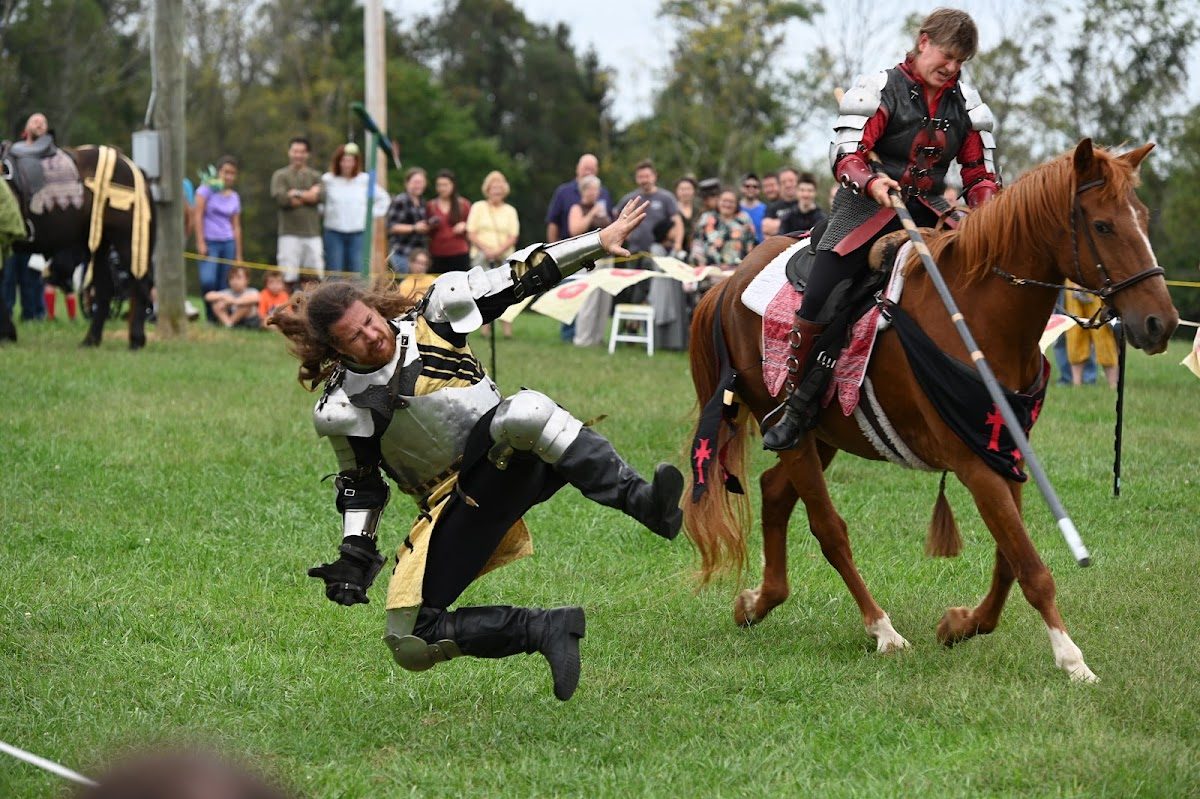 The Village Renaissance Faire photo 3