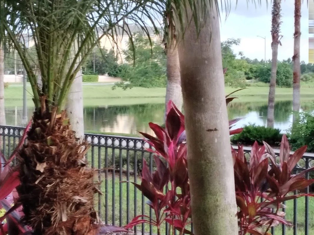 Treasure Coast Pirate Fest photo 1