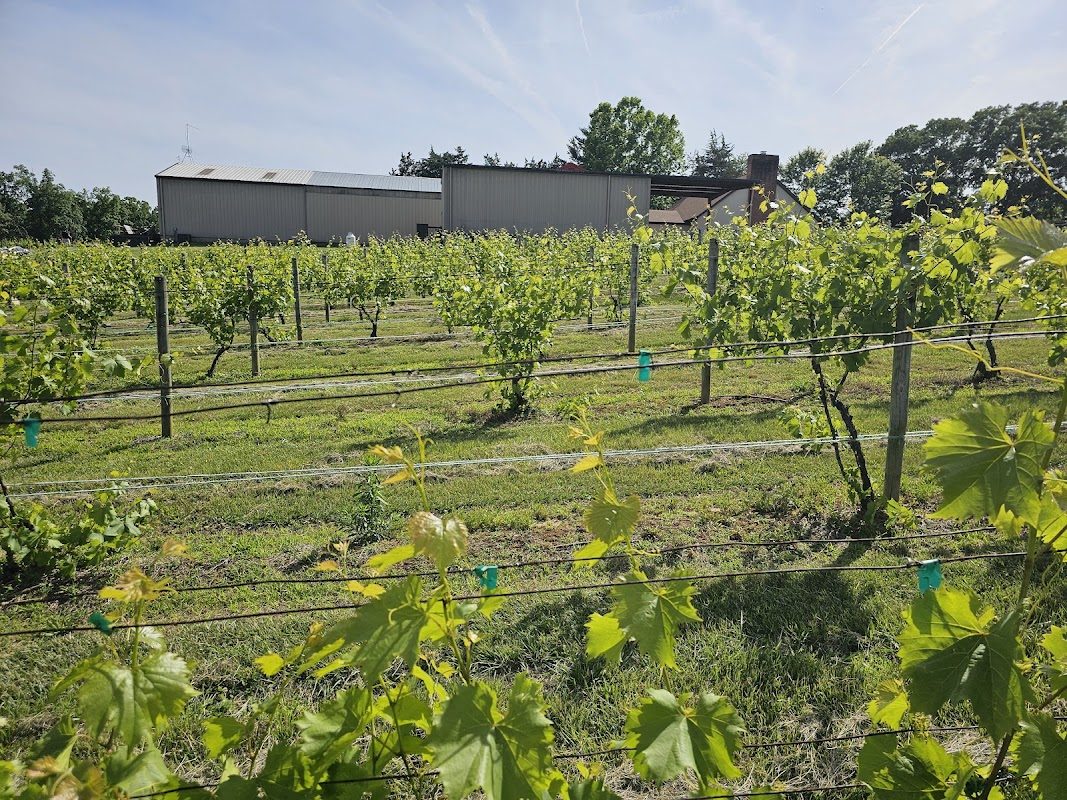Virginia Renaissance Faire photo 3