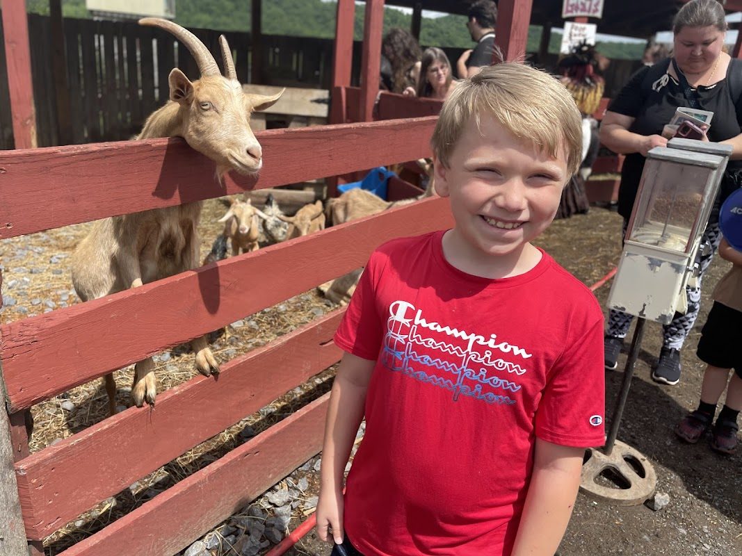 West Virginia Renaissance Festival photo 4