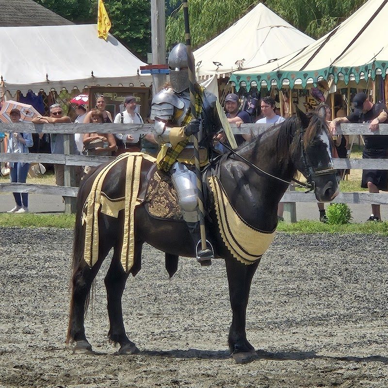 West Windsor Lions Renaissance Faire photo 2
