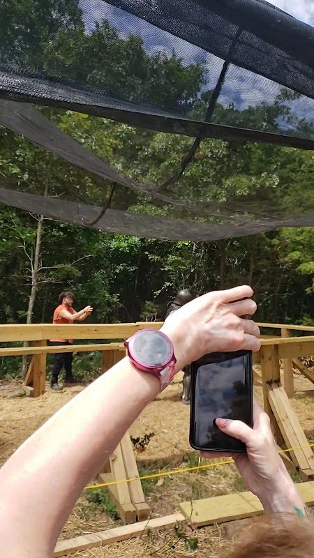 White Hart Renaissance Faire photo 3