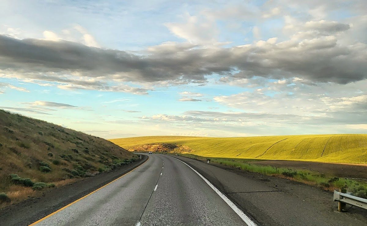 Ye Merrie Greenwood Faire photo 4