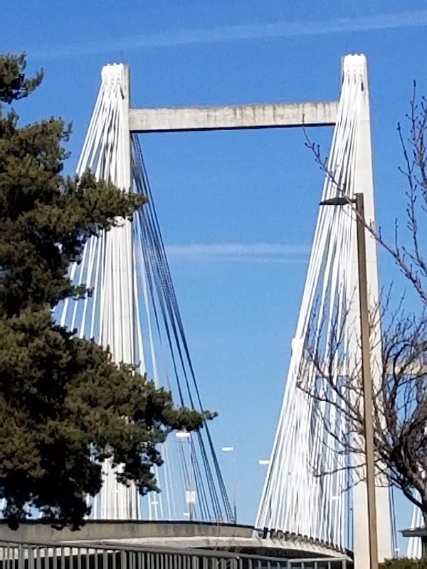 Ye Merrie Greenwood Faire photo 5